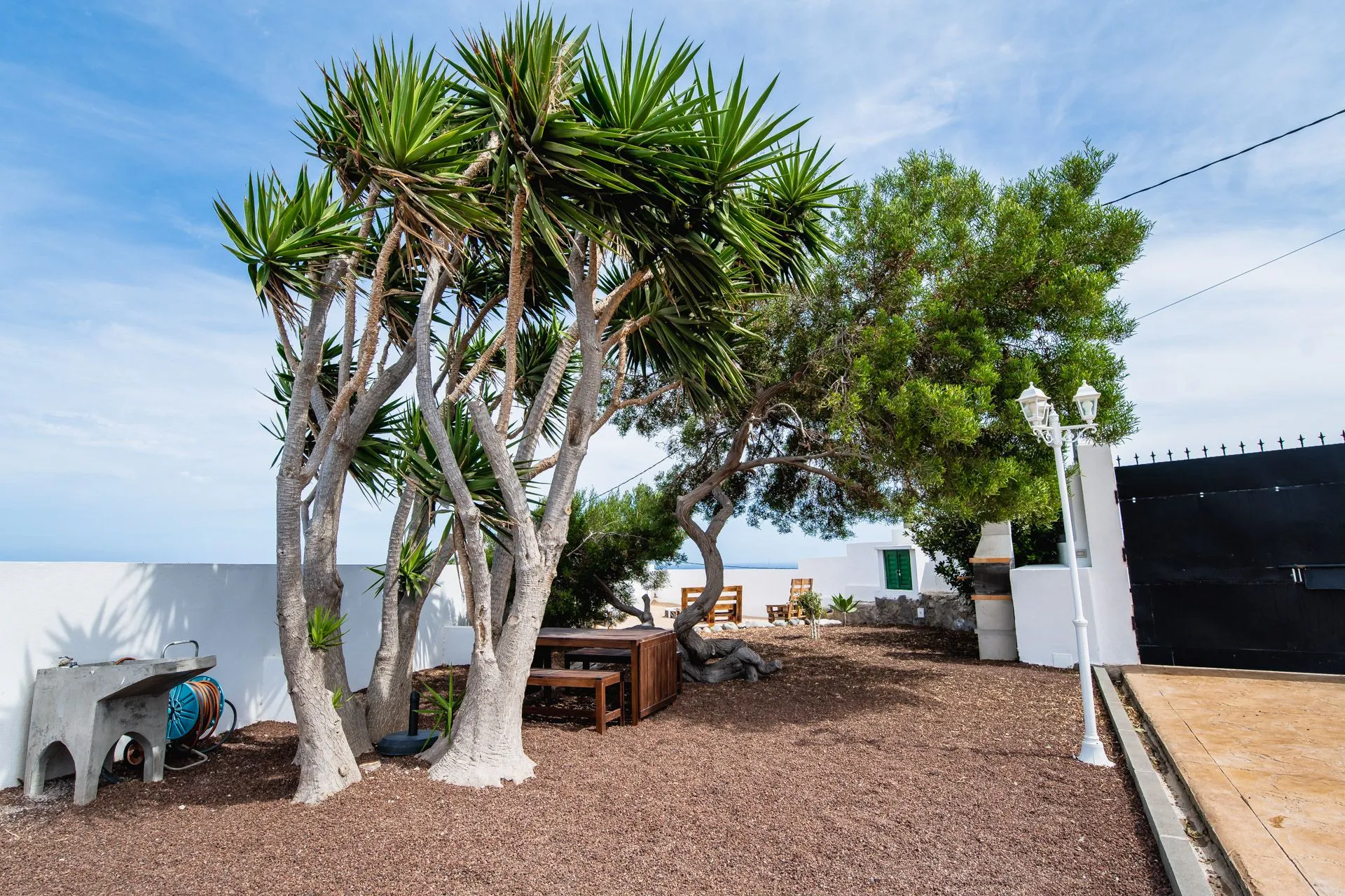 Giardino con palme, panche e vista sul mare alla Finca