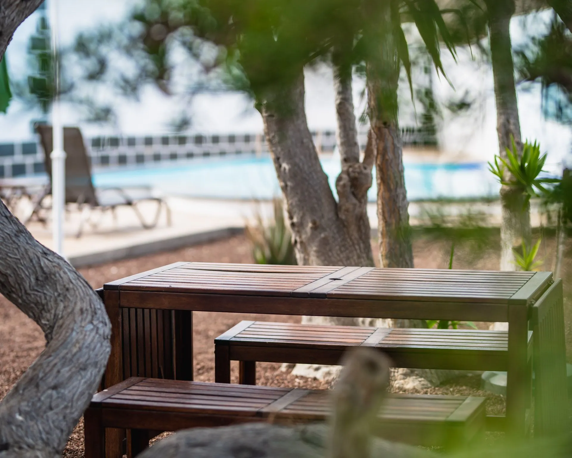 Tavolo e panche in legno tra alberi vicino alla piscina della Finca della Musica